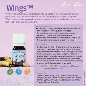 Wings 翅膀